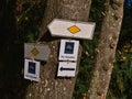Trail markings with arrows pointing in different directions on hiking trail in Black Forest.
