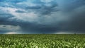 Bad Weather Cloudy Rainy Sky. Dramatic Sky With Dark Clouds In Rain Day. Storm And Clouds Above Summer Maize Corn Field Royalty Free Stock Photo