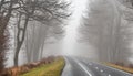 Bad weather driving - foggy hazy country road. Motorway - road traffic.