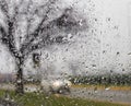 Bad weather driving on a way Royalty Free Stock Photo