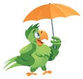 Bad weather. Funny parrot with umbrella