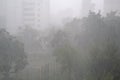 Bad weather, storm. Heavy rain and wind in city Royalty Free Stock Photo