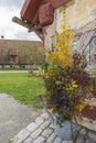 Bad Windsheim, Germany - 16 October 2019: View on the stone floor and autumn decoration with flowers, pumpkins and fruits Royalty Free Stock Photo