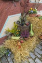 Bad Windsheim, Germany - 16 October 2019: View on the stone floor and autumn decoration with flowers, pumpkins and fruits Royalty Free Stock Photo