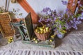 Bad Windsheim, Germany - 16 October 2019: View on the stone floor and autumn decoration with flowers, pumpkins and fruits Royalty Free Stock Photo