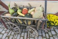 Bad Windsheim, Germany - 16 October 2019: View on the stone floor and autumn decoration with flowers, pumpkins and fruits Royalty Free Stock Photo