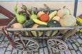 Bad Windsheim, Germany - 16 October 2019: View on the stone floor and autumn decoration with flowers, pumpkins and fruits Royalty Free Stock Photo