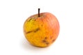 Bad yellow apple Royalty Free Stock Photo