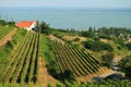 Badacsony - Balaton