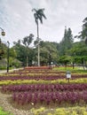 The Badak park in Bandung City at morning Royalty Free Stock Photo