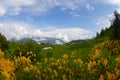 Village life in Badara highland Rize / Turkey