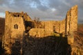 Badenweiler Castle / Baden Castle