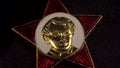 Badge of the Octobrist, Soviet symbols, pioneers