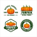 Badge pumpkin organic product logo Collection