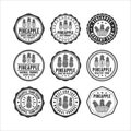 Badge stamps pineapple vector design collection