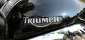 Badge of Triumph motorcycle at Yearly Mass Ride