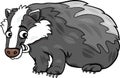 Badger animal cartoon illustration