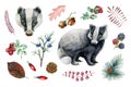 Badger animal, forest natural element set. Watercolor hand drawn illustration. Wild forest badger, red berries, acorn Royalty Free Stock Photo