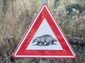 badger crossing warning sign on the side of a rural country road Royalty Free Stock Photo