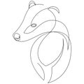 Badger drawn in single continuous line style. Vector illustration