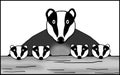 Badger mum and four cubs