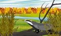 Badger stands on a branch of a fallen tree in a meadow with a river and an autumn forest Royalty Free Stock Photo