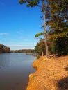 Badin Lake in Uwharrie National Forest