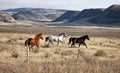 Badlands Canada Saskatchewan