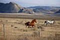 Badlands Canada Saskatchewan