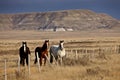 Badlands Canada Saskatchewan