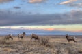 Badlands National Park, South Dakota