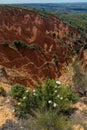 Badlands of Ponton de la Oliva, Madrid , Spain