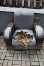 badly damaged sofa on the roadside at vertical composition