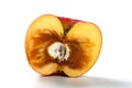 Badly overripe apple with moldy core on white background