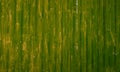 Badly painted waved metal sheet green background Royalty Free Stock Photo