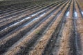 Badly plowed arable land