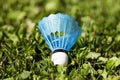 A badmington ball has landed in the summer grass Royalty Free Stock Photo