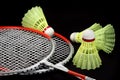 Badminton