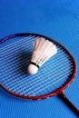 Badminton Royalty Free Stock Photo
