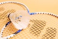Badminton Royalty Free Stock Photo