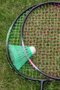 Badminton Royalty Free Stock Photo