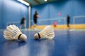 Badminton - badminton courts with players competing Royalty Free Stock Photo