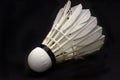 Badminton ball Royalty Free Stock Photo