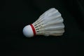 Badminton ball is a ball used in badminton, made of a series of goose feathers arranged in an open cone