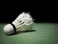 Badminton ball or shuttlecock located on the green ground with a black background.that have been hit or practiced to the extreme. Royalty Free Stock Photo