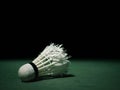 Badminton ball or shuttlecock located on the green ground with a black background.that have been hit or practiced to the extreme. Royalty Free Stock Photo