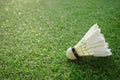 Badminton Birdie Background grass