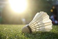 Badminton Birdie on grass