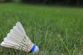 Badminton Birdie or Shuttlecock Royalty Free Stock Photo