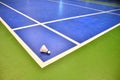 Badminton court Royalty Free Stock Photo